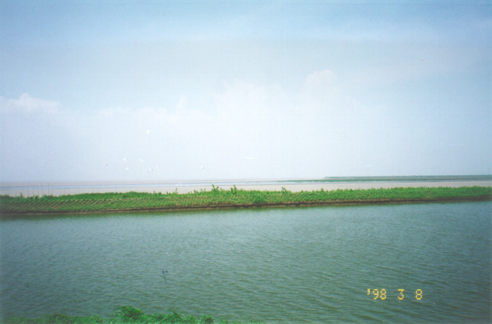 崇明东滩自然保护区天气 崇明东滩自然保护区天气