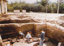 青浦崧泽古文化遗址天气 青浦崧泽古文化遗址天气