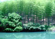 西湖东明山森林公园天气 西湖东明山森林公园天气