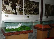 南浔镇史馆天气 南浔镇史馆天气