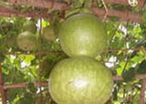 瓯海绿色乐园天气 瓯海绿色乐园天气