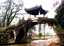 武义郭洞古生态村天气 武义郭洞古生态村天气