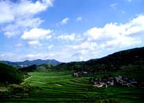 丽水大洋山景区天气 丽水大洋山景区天气