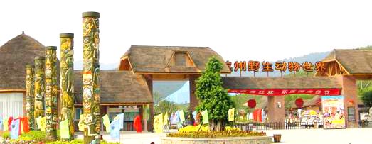 杭州野生动物园天气 杭州野生动物园天气