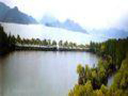 宁波白石仙枰天气 宁波白石仙枰天气