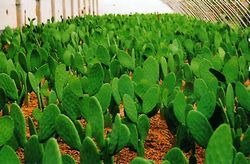 慈溪长河农业科技园区天气 慈溪长河农业科技园区天气