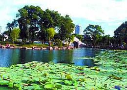 宁波月湖天气 宁波月湖天气