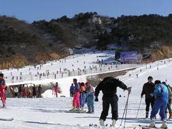 宁波溪口商量岗天气 宁波溪口商量岗天气