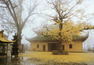 奉化溪口雪窦山天气 奉化溪口雪窦山天气