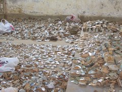 温州启灶坟山窑址天气 温州启灶坟山窑址天气