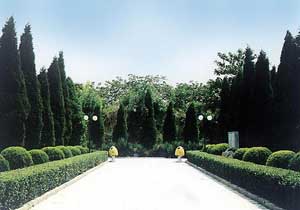 温州叶高墓天气 温州叶高墓天气