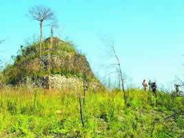 温州毛洋石塔天气 温州毛洋石塔天气