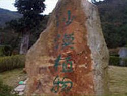 温州绿色乐园天气 温州绿色乐园天气