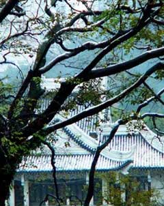 温州华盖山天气 温州华盖山天气