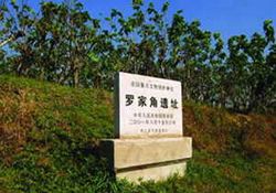 桐乡罗家角遗址天气 桐乡罗家角遗址天气