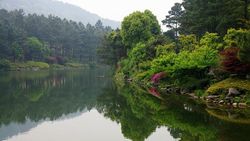 安吉竹种园天气 安吉竹种园天气