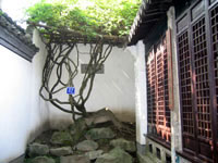 绍兴青藤书屋天气 绍兴青藤书屋天气