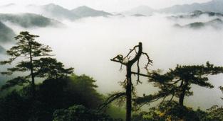 金华小黄山畲族风情村天气 金华小黄山畲族风情村天气