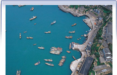 舟山东极天气 舟山东极天气