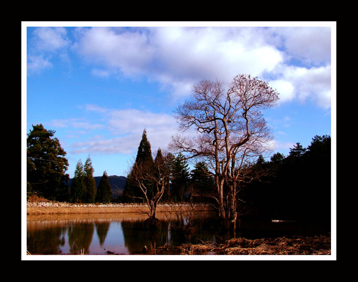 丽水景宁草鱼塘天气 丽水景宁草鱼塘天气