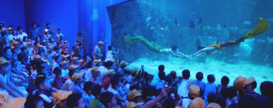 台州海洋世界天气 台州海洋世界天气