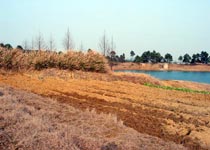 高淳游子山森林公园天气 高淳游子山森林公园天气