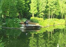 盐城永丰林农业生态园天气 盐城永丰林农业生态园天气