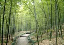 镇江南山风景区天气 镇江南山风景区天气