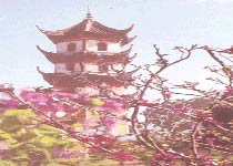 太仓西塔天气 太仓西塔天气