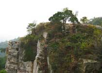 黄山虎头岩天气 黄山虎头岩天气