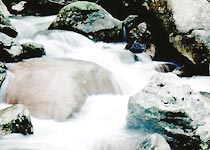 金寨天堂寨国家森林公园天气 金寨天堂寨国家森林公园天气