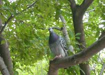 济南泉城公园天气 济南泉城公园天气