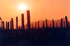 青岛八关山天气