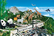 威海神雕山野生动物自然保护区天气 威海神雕山野生动物自然保护区天气