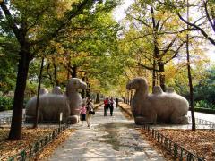 南京石象路天气 南京石象路天气