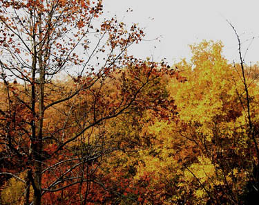 连云港枫树湾天气 连云港枫树湾天气