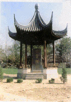 盐城古云梯关天气 盐城古云梯关天气