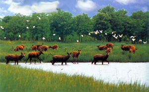 大丰斗龙庄园天气 大丰斗龙庄园天气