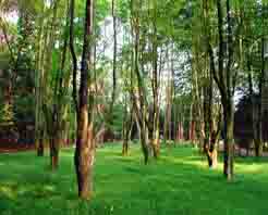 合肥舜耕山天气 合肥舜耕山天气