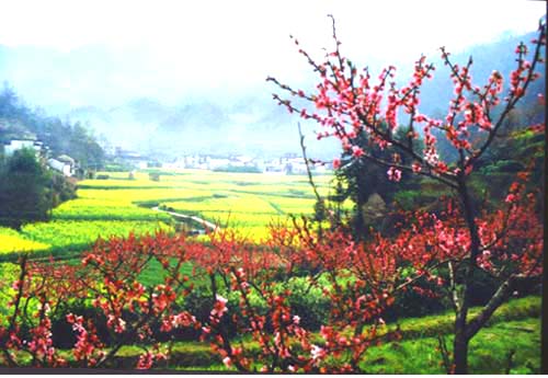 黄山休宁农业高科技园天气 黄山休宁农业高科技园天气