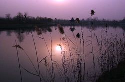 阜阳生态乐园天气 阜阳生态乐园天气