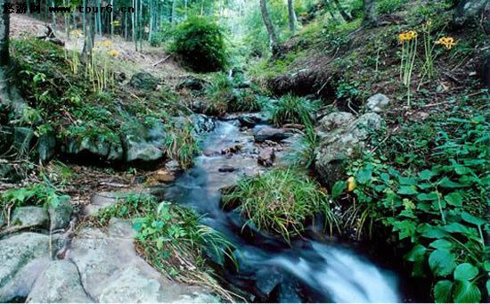 宣城宁国板桥天气 宣城宁国板桥天气