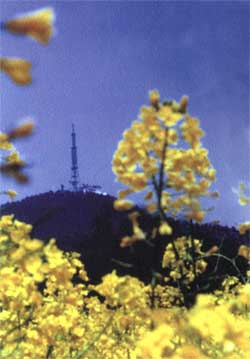 宣城敬亭山天气 宣城敬亭山天气