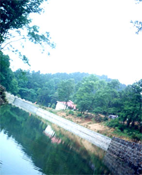 巢湖东庵森林公园天气 巢湖东庵森林公园天气