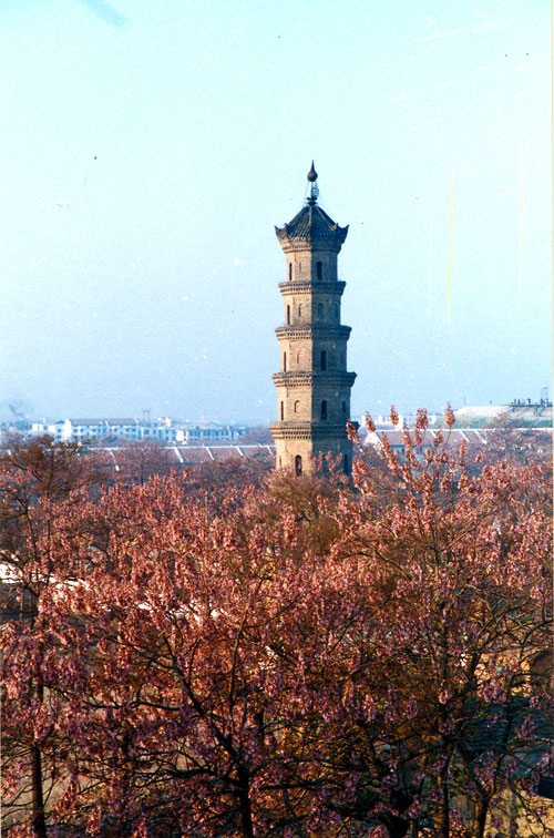 亳州薛阁塔天气 亳州薛阁塔天气