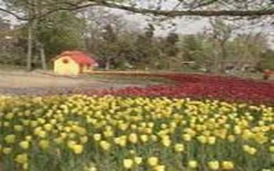 青岛汇泉角天气 青岛汇泉角天气