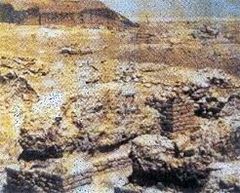 焦作赵庄遗址天气 焦作赵庄遗址天气