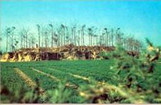 许昌射鹿台天气 许昌射鹿台天气