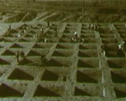 三门峡庙底沟遗址天气 三门峡庙底沟遗址天气