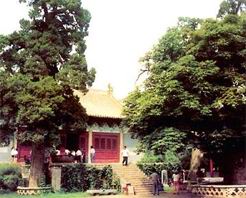 山阳济源阳台宫天气 山阳济源阳台宫天气